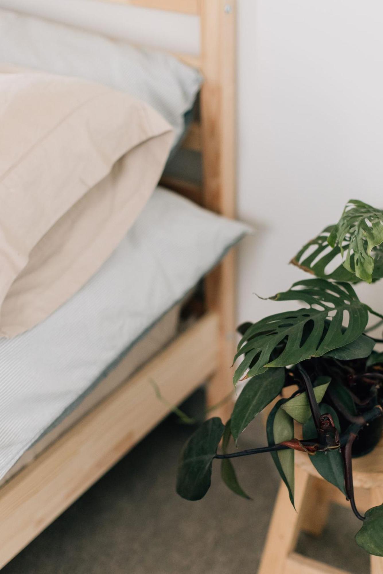 Apartamento Casa Xotol *